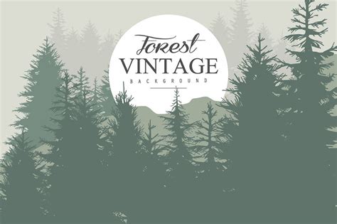 Vintage Pine Forest | Forest, Pine forest, Forest illustration