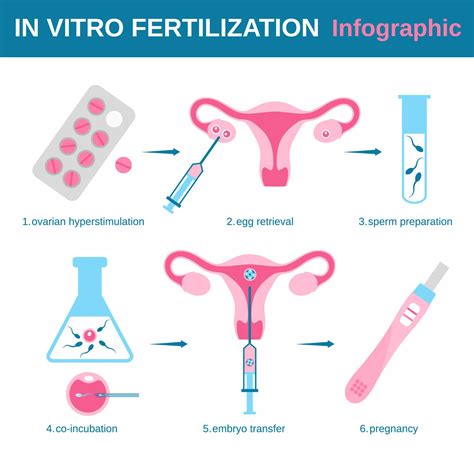 In Vitro Fertilization Ethical Issues