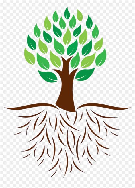 Tree And Roots Colour Illustration Transparent Png Tree With Roots