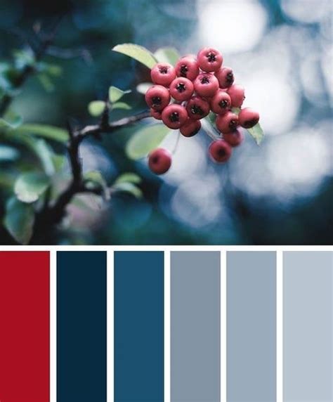 Фотография Grey Color Palette Red Colour Palette Color Schemes