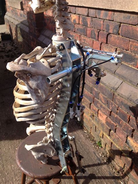 Adam Horton: Animatronic Skeleton