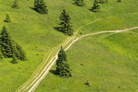 Green Meadow With Trees Bird View Stock Image Image Of Aerial Path