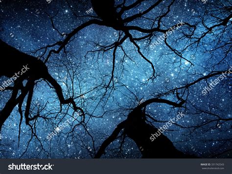 Beautiful Night Sky Milky Way Trees Stock Photo Edit Now