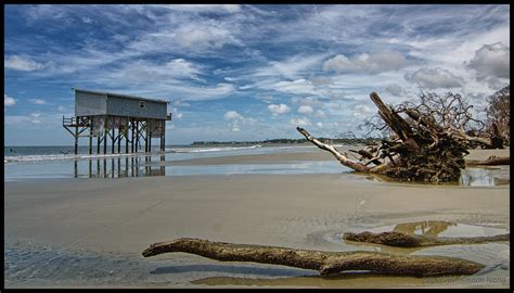 Beach Erosion Hunting Island Sp South Carolina Flickr
