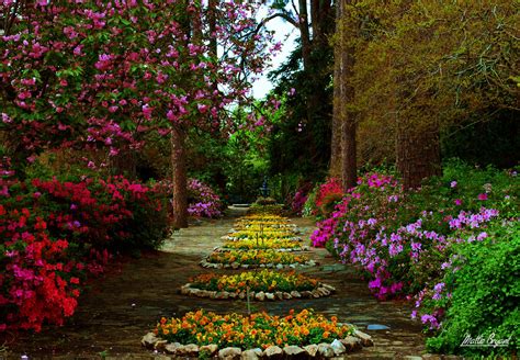 Flower Garden Images Hd 1920x1080 Hd Garden Wallpaper