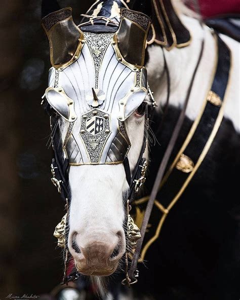 Medieval Horse Armour 📷 Thenightingalefarm And Miniphoto 💜 🙏