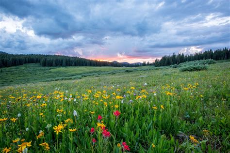 Free Images Landscape Nature Forest Wilderness Mountain Cloud