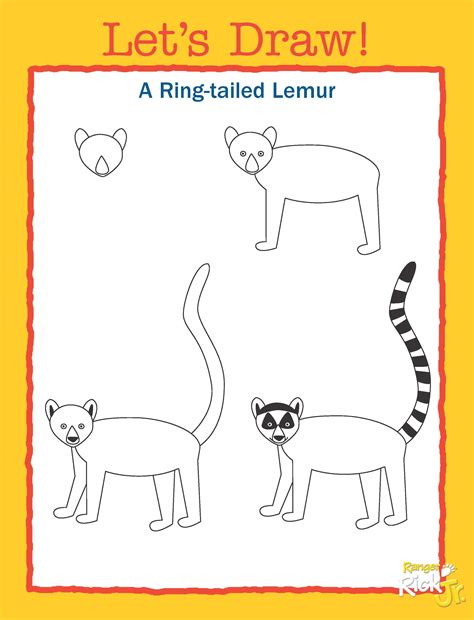 Teach Your Students How To Draw A Ring Tailed Lemur Using Ranger Rick