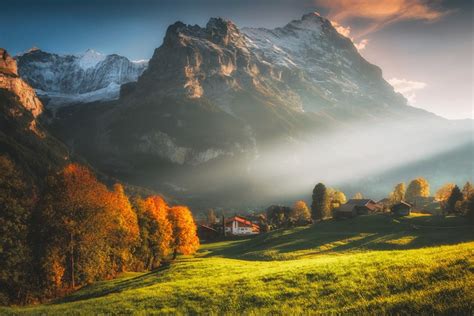 Swiss Alps Switzerland Snowy Peak Mountains Field Trees Landscape