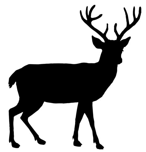 White Tailed Deer Reindeer Red Deer Elk Reindeer Silhouette Cliparts
