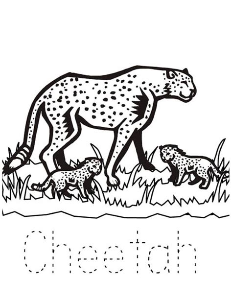 Cheetah And Her Babies Coloring Page Netart