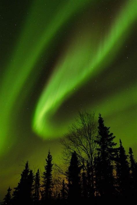 The Northern Lights In Alaska All You Need To Know See The Northern