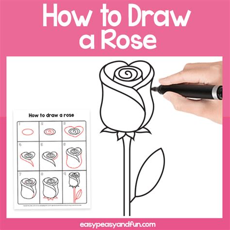 How To Draw A Rose Easy Step By Step For Beginners And Kids Ôn Thi Hsg