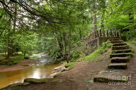 Cook Forest Toms Run Steps Photograph By Adam Jewell Fine Art America