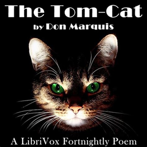 The Tom Cat Don Marquis Free Download Borrow And Streaming