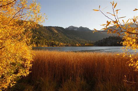 California Fall Foliage: It's Real, and There's a Map for That | KQED Arts