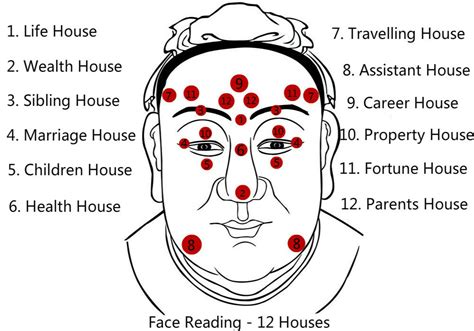 Applying ‘feng Shui To Enhance Your Face And Wealth Ready Set Beauty