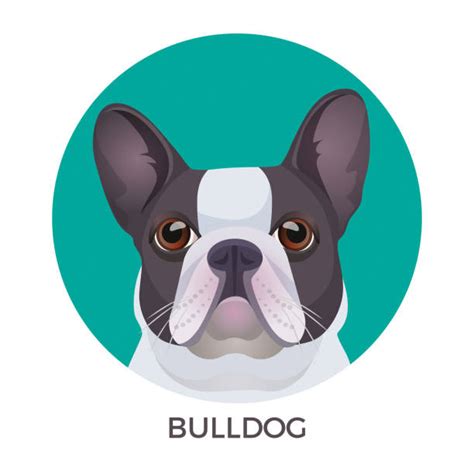 Cartoon Of Dogs With Big Noses Illustrations Royalty Free Vector