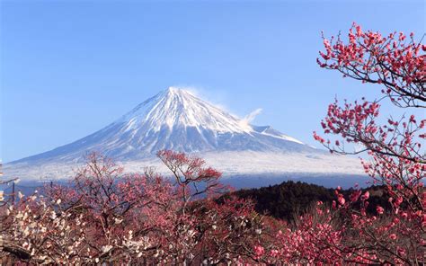 Mount Fuji Hd Wallpapers Top Free Mount Fuji Hd Backgrounds