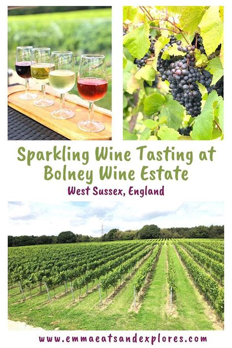 Lunch And Sparkling Wine Tasting At Bolney Wine Estate Bolney West