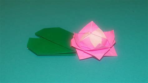 How To Make An Origami Water Lily Nymphaeaceae Youtube