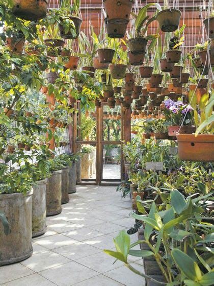 19 Orchid Shade House Ideas Shade House Orchid House Backyard