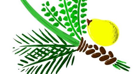The four species are four plants mentioned in the torah as being relevant to the jewish holiday of sukkot. ארבעת המינים ותרומתם למניעה וטיפול במחלות כרוניות ...