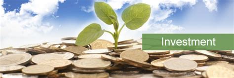Green Investment - World Green Economy Council