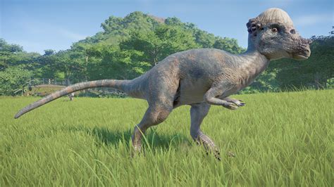 Pachycephalosaurus Paleontological Edits Website Skin Option Available