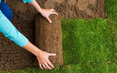 Maybe you would like to learn more about one of these? 5 Tips for Laying Sod in Colorado | Big Foot Turf | Sod ...