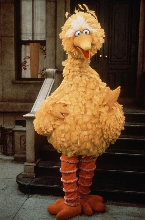 Sesame Street Controversies Sexy Scenes Complaints And X Rated Show Hack Daily Star