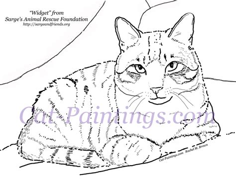 Select from 35919 printable coloring pages of cartoons, animals, nature, bible and many more. Calico Cat coloring, Download Calico Cat coloring for free ...