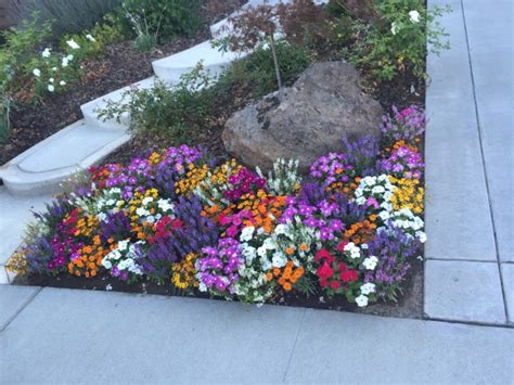 We did not find results for: Spring & Summer Flower Beds - Landscape Makeover | Folsom ...