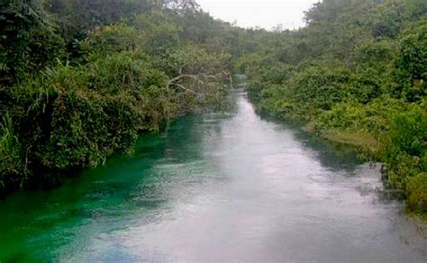 Ngo Advocates For Rights Of Rivers In Nigeria Newsdrummer Online