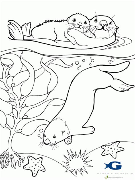 Sea Otter Coloring Pages Printable Coloring Pages