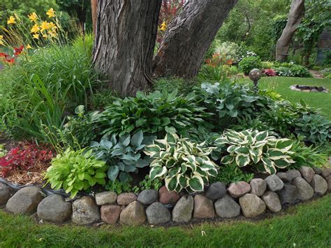 Using Hostas And Such To Dress Up A Shaded Area Landscaping Around