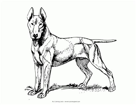 German Shepherd Dog Coloring Pages - Coloring Home
