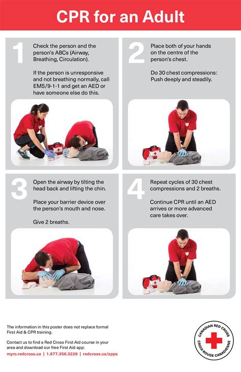 First Aid Steps Poster The Y Guide