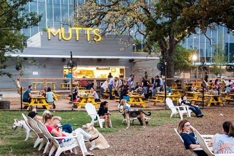 Mutts Canine Cantina Will Open In Denver In 2020 Westword