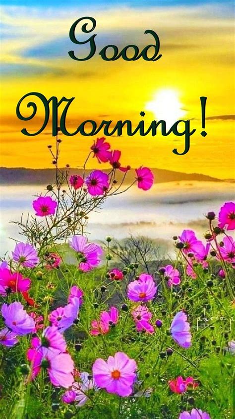The Words Good Morning Are In Front Of Some Pink Flowers And Green