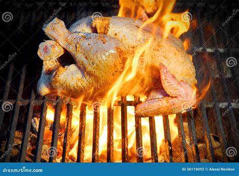 Grilled Chicken In Flames Stock Photo Image Of Dinning 36119092