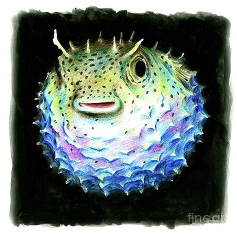 Puffer Fish Painting By Muaviath Ali