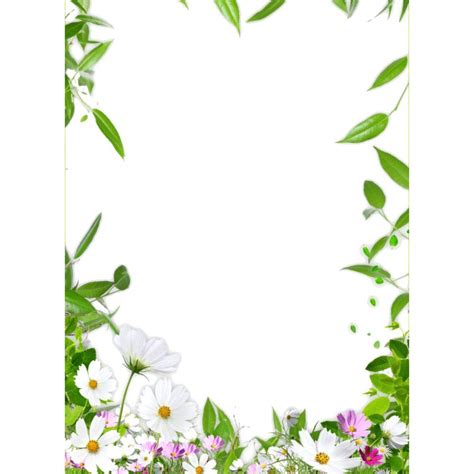 Flower Border Design For A Size Paper Images And Pho Vrogue Co