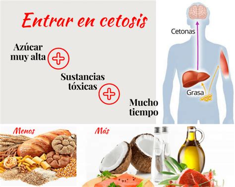 10 Ejemplos De Cetosis Dieta
