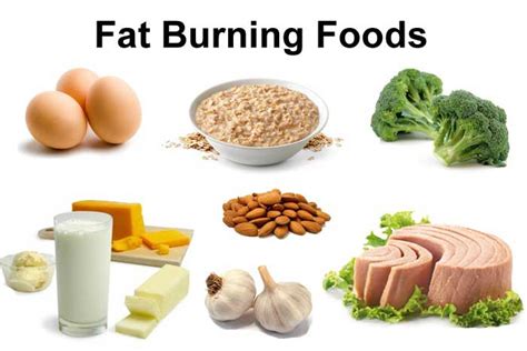 How To Burn Fat With Your Diet My Body Expert