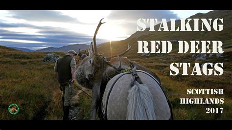 Stalking Red Deer Stags Scottish Highlands 2017 Youtube