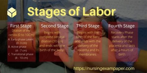 Stages Of Labor Normal Labor Signs Nursing Exam Paper