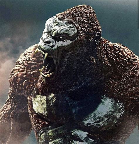 — owlkitty (@owl__kitty) march 20, 2021. Godzilla vs. Kong: 2020 Kong fears no God(zilla ...