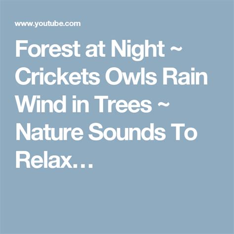 Forest At Night ~ Crickets Owls Rain Wind In Trees ~ Nature Sounds To