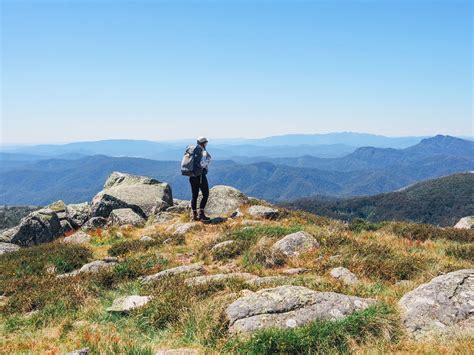 Mount Buller Hikes Guide To The Summer Season Beyond Wild Places